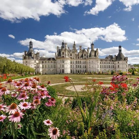 Au Coeur De Blois Apartamento Exterior foto