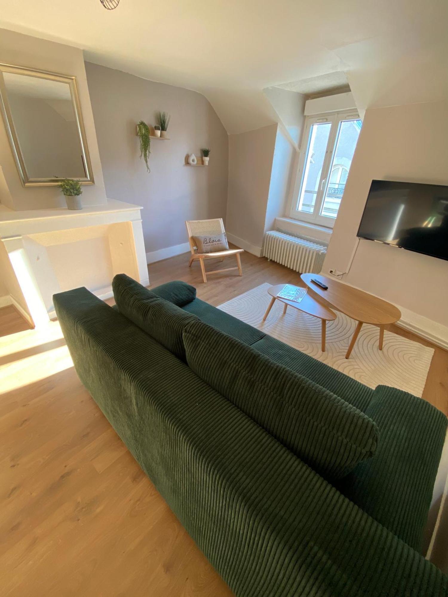 Au Coeur De Blois Apartamento Exterior foto