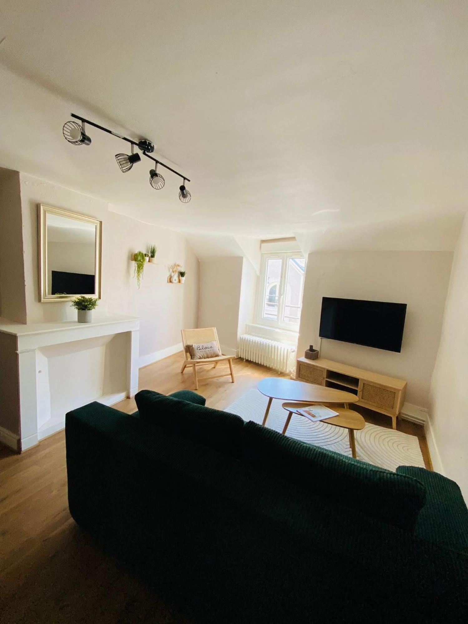 Au Coeur De Blois Apartamento Exterior foto